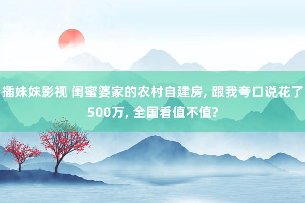 插妹妹影视 闺蜜婆家的农村自建房， 跟我夸口说花了500万， 全国看值不值?