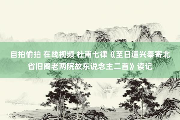 自拍偷拍 在线视频 杜甫七律《至日遣兴奉寄北省旧阁老两院故东说念主二首》读记