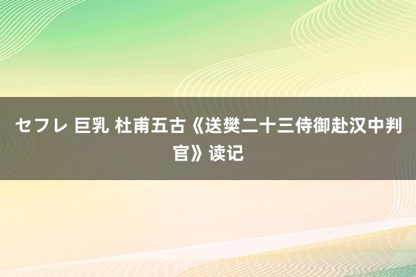 セフレ 巨乳 杜甫五古《送樊二十三侍御赴汉中判官》读记