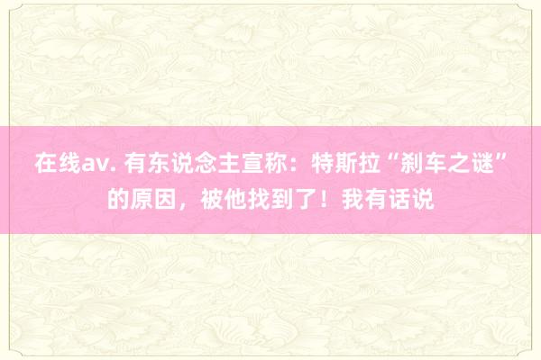 在线av. 有东说念主宣称：特斯拉“刹车之谜”的原因，被他找到了！我有话说