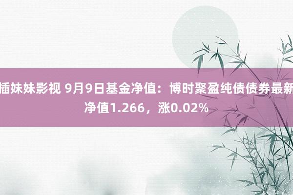 插妹妹影视 9月9日基金净值：博时聚盈纯债债券最新净值1.266，涨0.02%