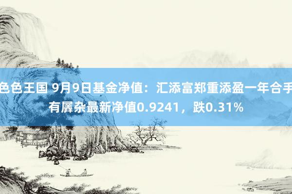 色色王国 9月9日基金净值：汇添富郑重添盈一年合手有羼杂最新净值0.9241，跌0.31%