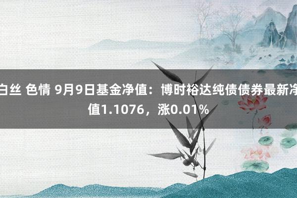 白丝 色情 9月9日基金净值：博时裕达纯债债券最新净值1.1076，涨0.01%