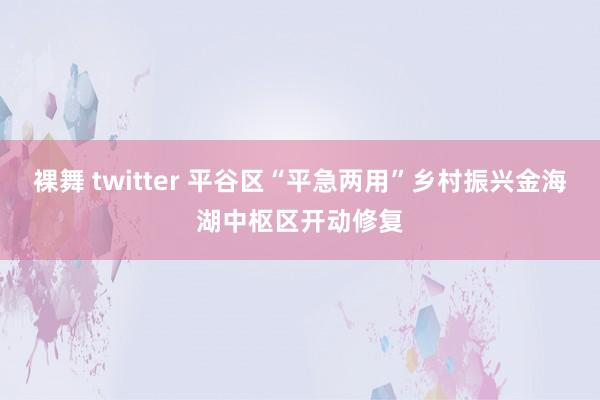 裸舞 twitter 平谷区“平急两用”乡村振兴金海湖中枢区开动修复