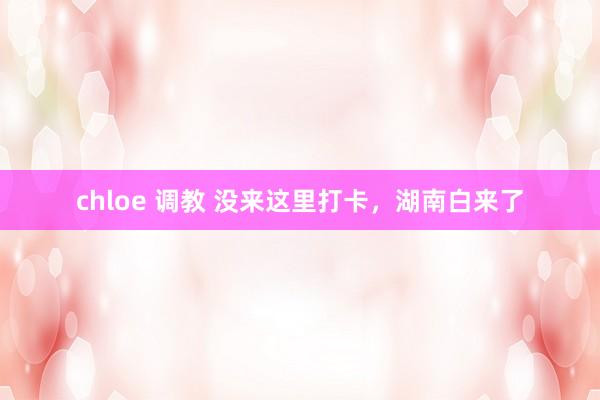 chloe 调教 没来这里打卡，湖南白来了