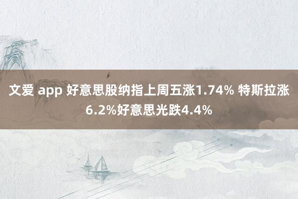 文爱 app 好意思股纳指上周五涨1.74% 特斯拉涨6.2%好意思光跌4.4%