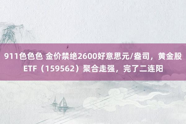 911色色色 金价禁绝2600好意思元/盎司，黄金股ETF（159562）聚合走强，完了二连阳