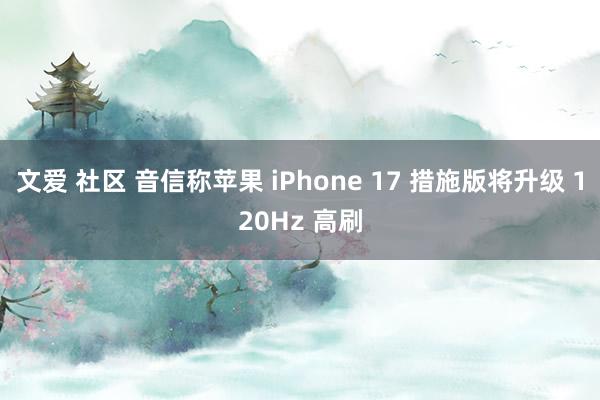 文爱 社区 音信称苹果 iPhone 17 措施版将升级 120Hz 高刷