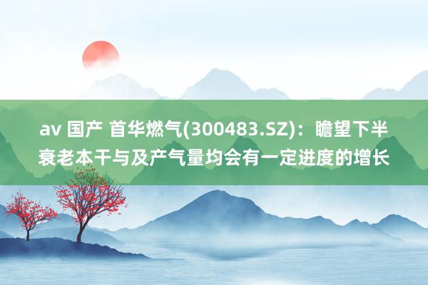 av 国产 首华燃气(300483.SZ)：瞻望下半衰老本干与及产气量均会有一定进度的增长