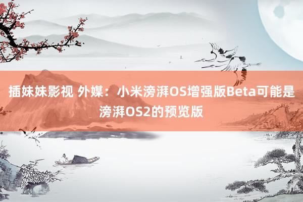 插妹妹影视 外媒：小米滂湃OS增强版Beta可能是滂湃OS2的预览版