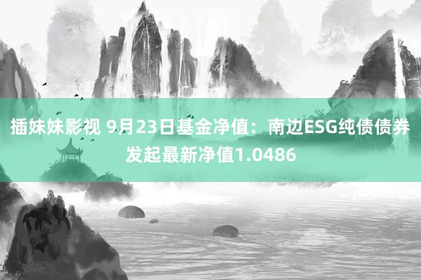 插妹妹影视 9月23日基金净值：南边ESG纯债债券发起最新净值1.0486