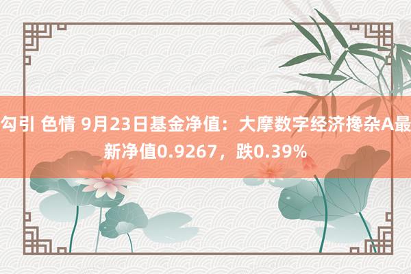 勾引 色情 9月23日基金净值：大摩数字经济搀杂A最新净值0.9267，跌0.39%