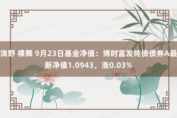 清野 裸舞 9月23日基金净值：博时富发纯债债券A最新净值1.0943，涨0.03%