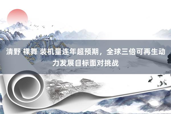 清野 裸舞 装机量连年超预期，全球三倍可再生动力发展目标面对挑战