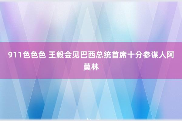 911色色色 王毅会见巴西总统首席十分参谋人阿莫林