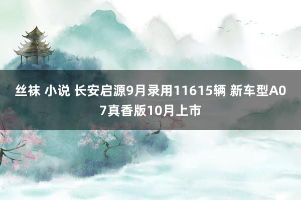 丝袜 小说 长安启源9月录用11615辆 新车型A07真香版10月上市