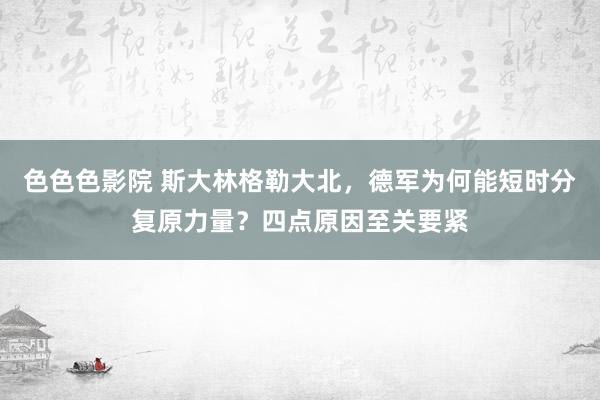 色色色影院 斯大林格勒大北，德军为何能短时分复原力量？四点原因至关要紧