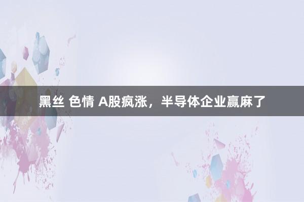 黑丝 色情 A股疯涨，半导体企业赢麻了