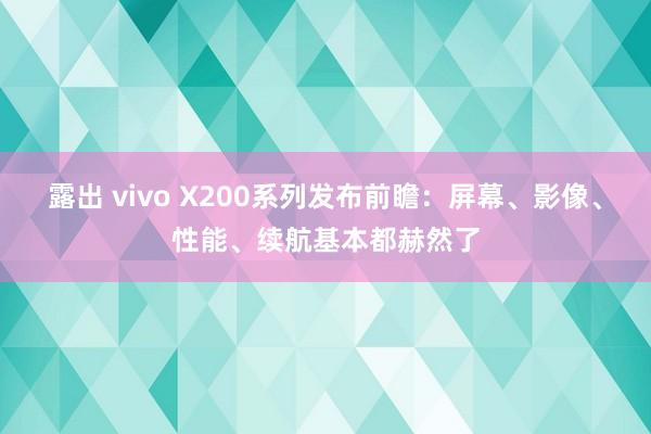 露出 vivo X200系列发布前瞻：屏幕、影像、性能、续航基本都赫然了