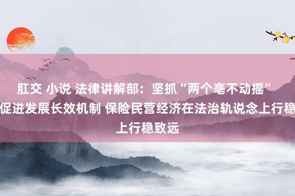 肛交 小说 法律讲解部：坚抓“两个亳不动摇” 构建促进发展长效机制 保险民营经济在法治轨说念上行稳致远