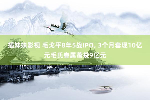 插妹妹影视 毛戈平8年5战IPO， 3个月套现10亿元毛氏眷属落袋9亿元