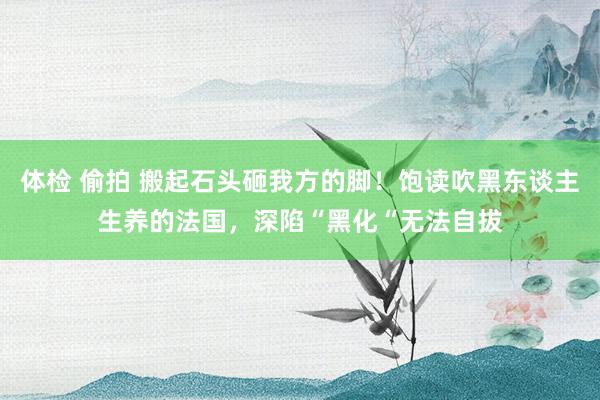 体检 偷拍 搬起石头砸我方的脚！饱读吹黑东谈主生养的法国，深陷“黑化“无法自拔