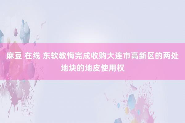 麻豆 在线 东软教悔完成收购大连市高新区的两处地块的地皮使用权