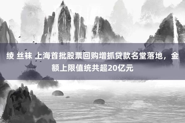 绫 丝袜 上海首批股票回购增抓贷款名堂落地，金额上限值统共超20亿元