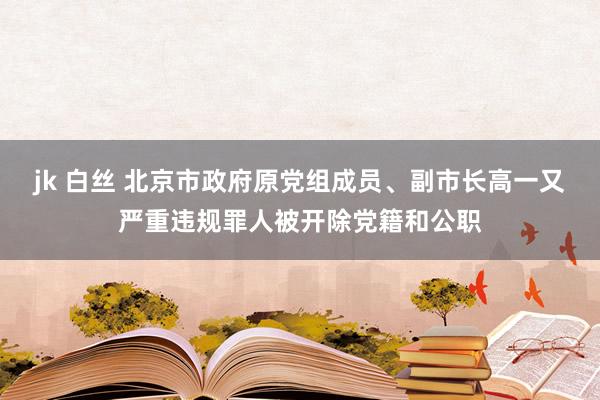 jk 白丝 北京市政府原党组成员、副市长高一又严重违规罪人被开除党籍和公职