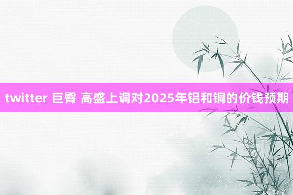 twitter 巨臀 高盛上调对2025年铝和铜的价钱预期