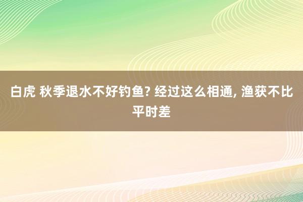 白虎 秋季退水不好钓鱼? 经过这么相通， 渔获不比平时差