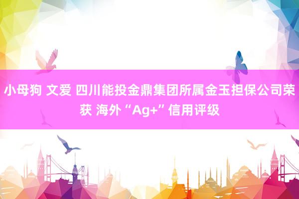 小母狗 文爱 四川能投金鼎集团所属金玉担保公司荣获 海外“Ag+”信用评级