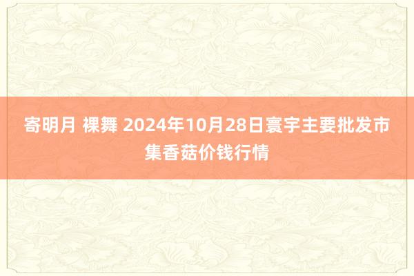 寄明月 裸舞 2024年10月28日寰宇主要批发市集香菇价钱行情