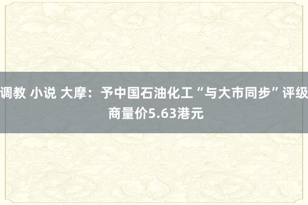 调教 小说 大摩：予中国石油化工“与大市同步”评级 商量价5.63港元