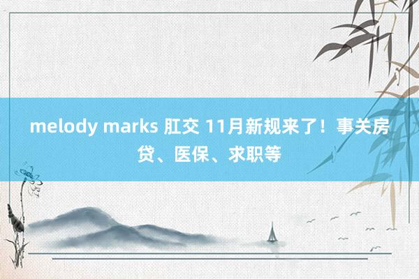 melody marks 肛交 11月新规来了！事关房贷、医保、求职等