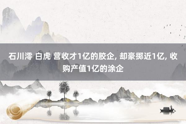 石川澪 白虎 营收才1亿的胶企， 却豪掷近1亿， 收购产值1亿的涂企