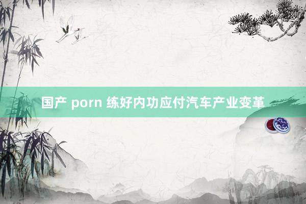 国产 porn 练好内功应付汽车产业变革