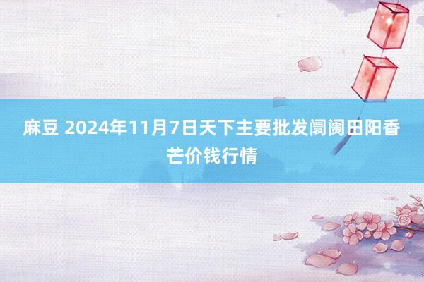 麻豆 2024年11月7日天下主要批发阛阓田阳香芒价钱行情