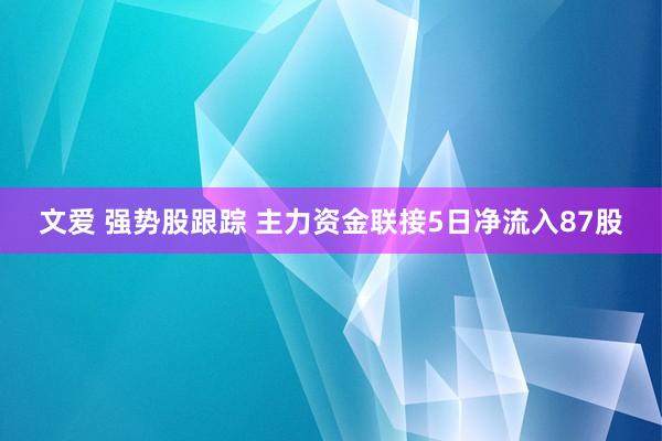 文爱 强势股跟踪 主力资金联接5日净流入87股