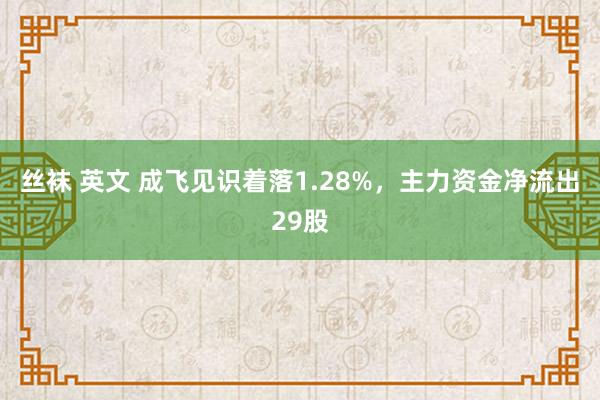 丝袜 英文 成飞见识着落1.28%，主力资金净流出29股