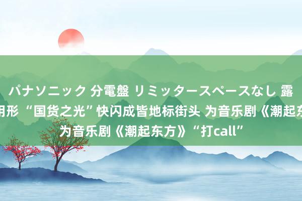 パナソニック 分電盤 リミッタースペースなし 露出・半埋込両用形 “国货之光”快闪成皆地标街头 为音乐剧《潮起东方》“打call”