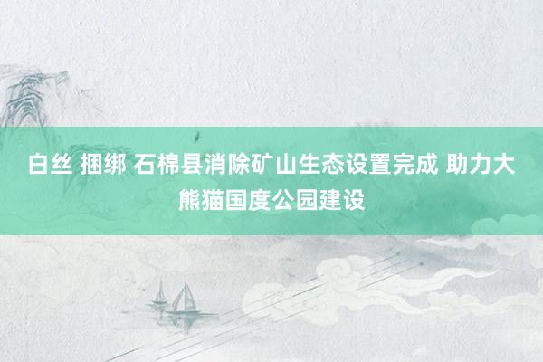 白丝 捆绑 石棉县消除矿山生态设置完成 助力大熊猫国度公园建设