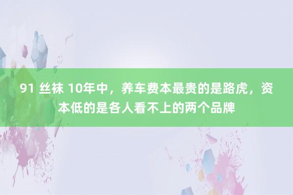 91 丝袜 10年中，养车费本最贵的是路虎，资本低的是各人看不上的两个品牌