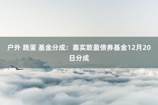 户外 跳蛋 基金分成：嘉实致盈债券基金12月20日分成