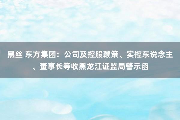 黑丝 东方集团：公司及控股鞭策、实控东说念主、董事长等收黑龙江证监局警示函