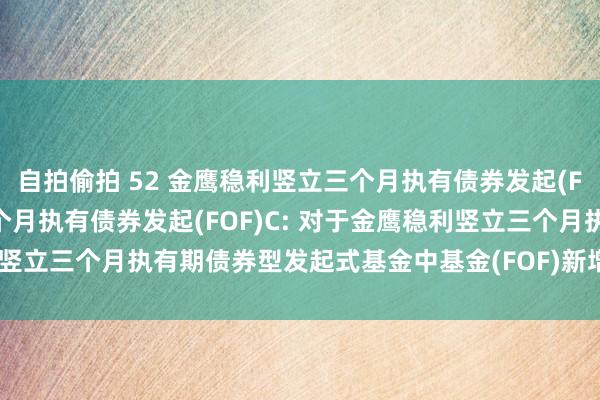 自拍偷拍 52 金鹰稳利竖立三个月执有债券发起(FOF)A，金鹰稳利竖立三个月执有债券发起(FOF)C: 对于金鹰稳利竖立三个月执有期债券型发起式基金中基金(FOF)新增代销机构的公告