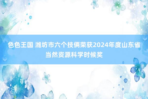 色色王国 潍坊市六个技俩荣获2024年度山东省当然资源科学时候奖