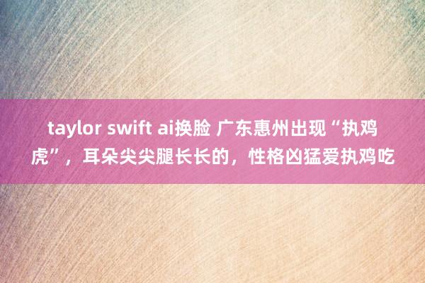 taylor swift ai换脸 广东惠州出现“执鸡虎”，耳朵尖尖腿长长的，性格凶猛爱执鸡吃