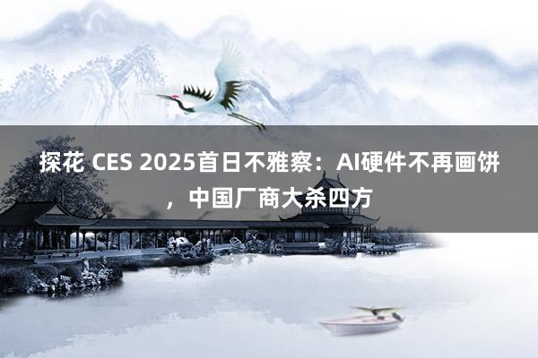 探花 CES 2025首日不雅察：AI硬件不再画饼，中国厂商大杀四方