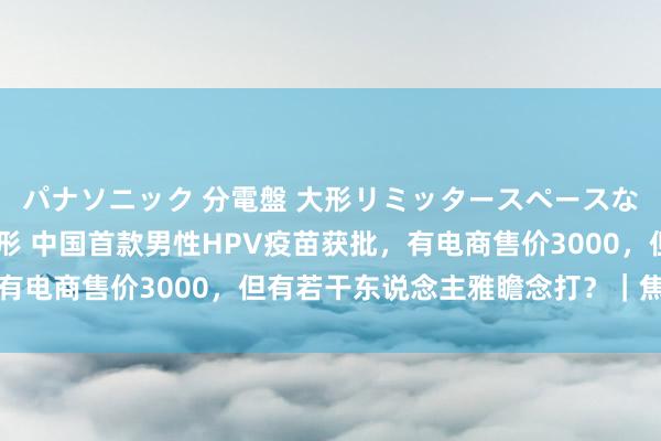 パナソニック 分電盤 大形リミッタースペースなし 露出・半埋込両用形 中国首款男性HPV疫苗获批，有电商售价3000，但有若干东说念主雅瞻念打？｜焦点分析